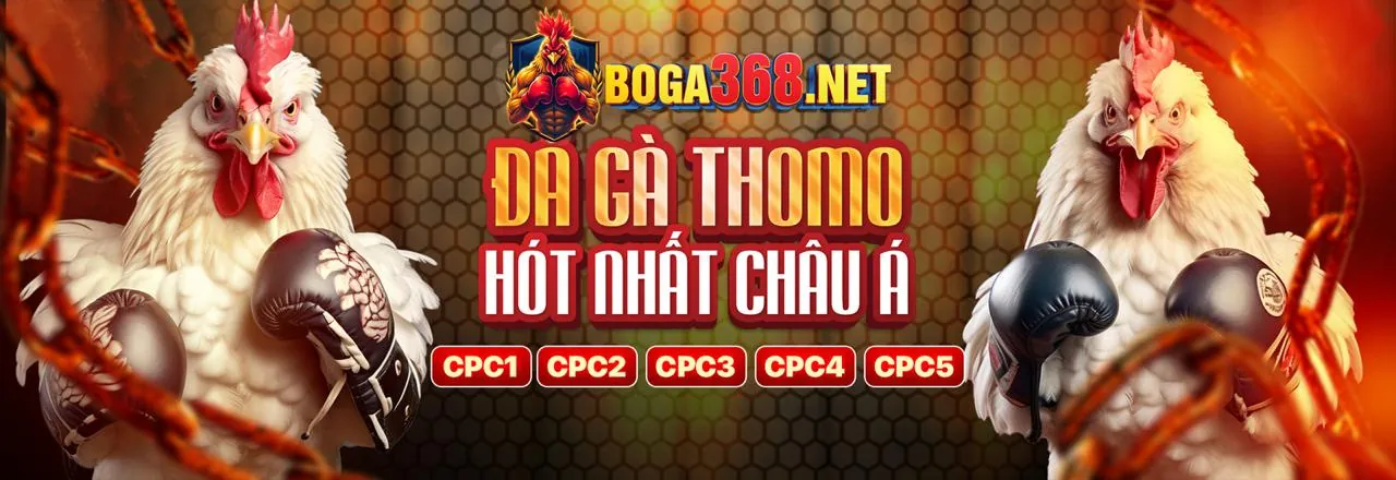 qh88 com Đá Gà Trực Tuyến Đỉnh Cao